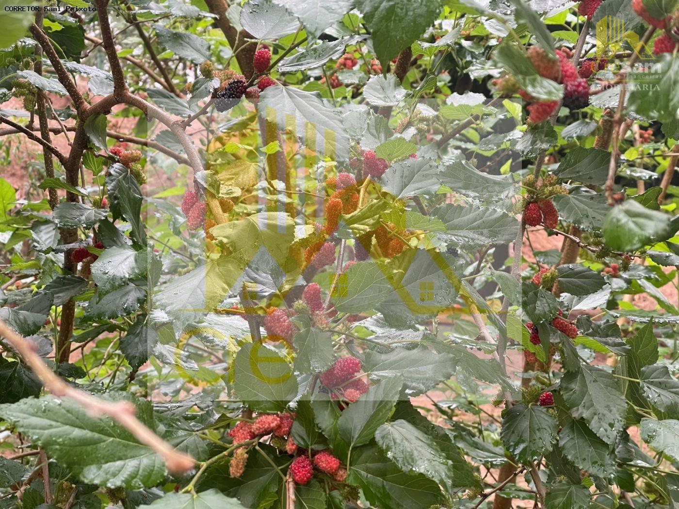 Casa de Condomínio, 3 quartos - Foto 19